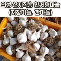 산지직송 의성마늘 한지형마늘 저장마늘 육쪽마늘 3kg 하 중 상 특 왕특, 깐마늘혼합_1kg, 1박스