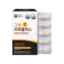 그린 프로폴리스 추출물 원액 캡슐 아연 아르테필린c 초록 고함량 플라보노이드 항산화 영양제 구강 항균 엔 propolis 추천 효능 30캡슐, 500mg x 30캡슐, 1개, 30캡슐x1통