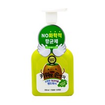 SP_BTM 해피바스 키위랑 손씻자 버블 핸드워시 250ml, 포어빈상품선택포어빈