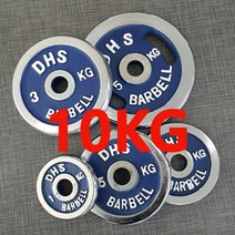 DHS 도금원판, 10kg