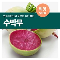 마이플랜트 [마이플랜트]수박무 씨앗 100립 채소 텃밭화분, 단품없음