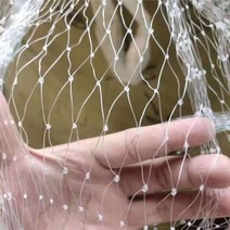 농사용그물망 나일론 방지망 휀스 블루베리 울타리망 닭망 테두리망 철망 새망 과수원, 나일론 낚싯줄 소재[세로 5mx40m 길이], 2.0cm 메쉬 - I31