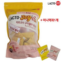 락토조이 구미젤리 믹스 1개당 25g (12개 24개 48개 옵션) 유산균 젤리+미니약과1개서비스, 24개입1봉+미니약과1