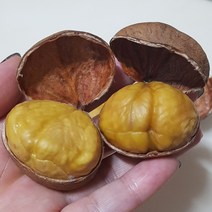 칼집밤 공주(정안) (대) 1kg 2kg 4kg, 칼집 밤 4kg, 1개