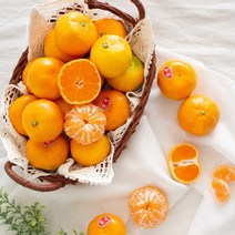 새콤달콤 제주감귤 5kg / 제주감귤 / 벌크포장, 5kg(L~2L)