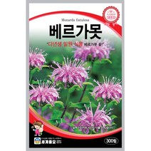 세계 베르가못 벨가못 모나르다 bergamot seed 씨앗 씨 꽃씨 종자, 천일홍