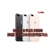 아이폰8플러스 64GB/256GB 보호필름 케이스 충전기 사은품 자급제 중고폰 공기계 텐마일, B급, 256GB, 그레이