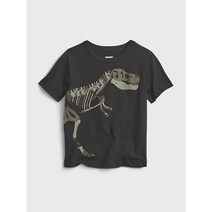 갭키즈 토들러 남아 2-5세 공룡 그래픽 숏 슬리브 티셔츠 5222126024099