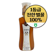 한국양봉농협 야생화 꿀, 1개, 500g