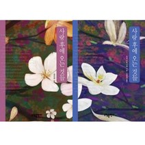 한일합작 사랑 후에 오는 것들 2권세트 - 사랑 후에 오는 것들 공지영 편 ＋ 츠지 히토나리 편