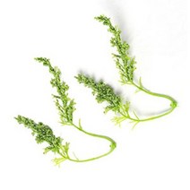 허브인] 소이캔들 만들기 젤 캔들재료 DIY, 워싱해초(20p)