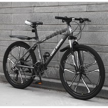 산악용 자전거 입문용 디스크브레이크 생활용 라이딩, 27 단, 24인치, 휠날 10 - 아이언 그레이