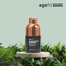 에이지핏 블랙체인지 기능성 염색 샴푸 250ml, 2개