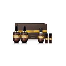 [이자녹스] 테르비나 LX 옴므 2종 특별 기획