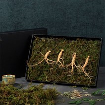 강원도 6년근 산양산삼 고급선물세트, 1세트, 4뿌리