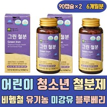어린이 청소년 철분제 비헴철 유기농 미강유 블루베리 아세로라 영양제 철분 프리미엄 천연 아기 유아 성장기 주니어 키즈 초등학생 청소년기 모유수유 노인 여성 여자 어르신 포우먼
