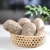친환경 유기농 열대둥근마 황진이농장 [산지직송] 상품 2kg 3kg 5kg, 꼬마
