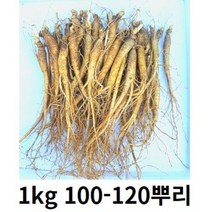 인삼 금산인삼 수삼 100-120 뿌리 삼계탕 용인삼업소용 삼계탕인삼 햇인삼 삼계탕재료 금산인삼직거래, 1kg 100-120 뿌리 (세척 0 )
