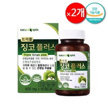기억력 두뇌 건강 은행잎추출물 60정(2개월분) 600mg 슈타인 징코 알파 브레인 플러스, 60정×2개