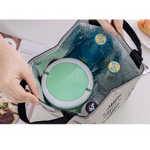 쿨러백 경기 관람 도시락 가방 야구장 캠핑 공원 간식 보온보냉 동호회 면회 소풍, 모던피쉬 쿨러백 베이지