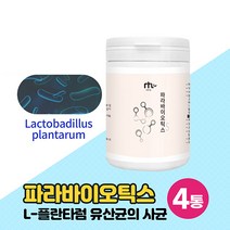 파라바이오틱스 유산균사균체 락토바실러스 L-플란타럼 5세대 차세대 실온보관 유산균 프로바이오틱스 분말 가루 유산균배양 생유산균19종 분말 파는곳 먹는법 1일1회3g, 100g x 4개