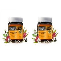 콤비타 와일드랜드 마누카꿀 500g x2개 Comvita