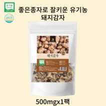 EVE유기농 국내산 뚱딴지 볶은돼지감자 500g