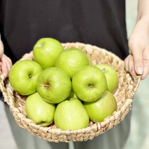 가정용흠집 썸머킹 아오리 꼬마과 3kg 19-21과 여름햇사과