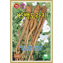 씨앗] 민속채소 KS 슈퍼도라지 5g