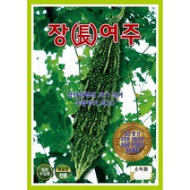 장여주씨앗 10립, 1개