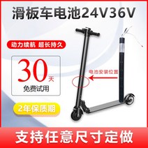 원형 탄소섬유 성인 접이식 24v36v 바퀴 두개 전동차, 기본, T05-수입 LG24V4.4A