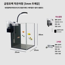 어항 가정용 거실 사무실 인테리어 작은어항 어항세트 수초어항세트 수초세트, O