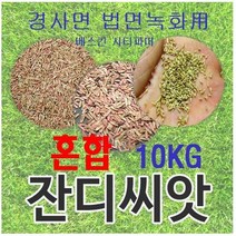 [경사면용/무료배송] 혼합양잔디씨앗 10kg 약100평 무료배송/발아율 80%이상/혼합풀씨 혼합종자 잔디씨 양잔디씨 잔디씨앗 법면녹화 사방공사, 1개