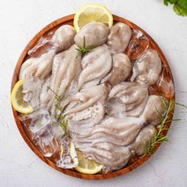 농가살리기 활 쭈꾸미 알배기 서해안 생물 당일조업 1kg, 서해안 활 쭈꾸미 1kg (8~15미)