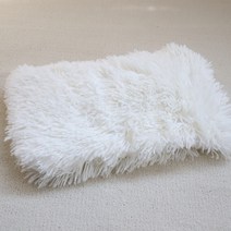 펫 고양 반려견 애견 냥이 이 집 집게 발톱 가는 상자 밑바닥 골판지 애완용, 10 세트로--매트