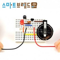 브레드보드 전기회로 실험 러브 체커 만들기 과일전지용판 과일전지실험 실험실 과학키트 실험관찰 교구