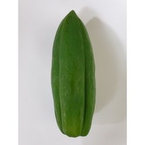 파파야 (쏨땀용 450g 이상 500g내외)