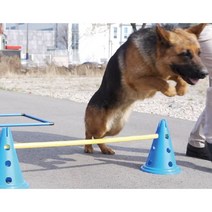 애구애구 강아지 어질리티 운동기구 애견허들 소형애견허들 중형애견허들 대형애견허들 세트, 큰고깔