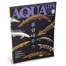 AM 아쿠아라이프 2022년 9월호 (폴립테루스)