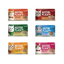 뉴트리플랜 콤보 160g x24개