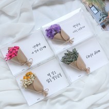 드라이플라워 카드 모음전(+문구)/가로형 엽서/생일 감사 기념일편지 메시지, 문구추가 20자이내, 07. 안개꽃(흰색)