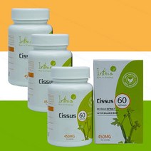 히말라야 고함량 인도산 보스웰리아 FDA 인증 120캡슐 x6통 직구