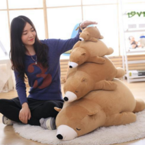 곰돌이인형 모찌인형 큰인형, 애쉬