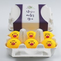 볼빅 계란골프공 선물 6구 비비드 컬러볼 2피스 3피스, 감사의마음을담아, 2피스_옐로우_햇병아리1
