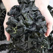 완도 햇 돌미역귀 세척후 전통방식, 1박스, 커플용 500g 1봉