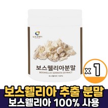 보스웰리아 추출 분말 가루 보스웰릭산 수지 식물성 원료 유향 마그네슘 셀렌 아연 고형차 파우더 먹는법, 1통, 보스웰리아분말 x 200g