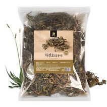차전초(질경이) 200g, 본상품, 본상품