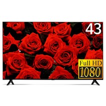 와이드테크 109cm 43인치 1등급 제로베젤 FULLHD TV WT430FHD 무결점 티비, 방문설치, 벽걸이형