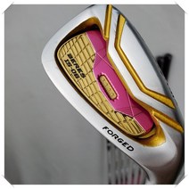 HONMA s-06 4성 여성용 골프 세트 5-11 AW.SW graphite L flex with head cover, 흑연 LADY FLEX