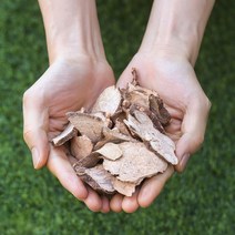 국산 적하수오 200g 건조 말린 하수오 차 한약재 약초, 1I0A_국산 적하수오 200g